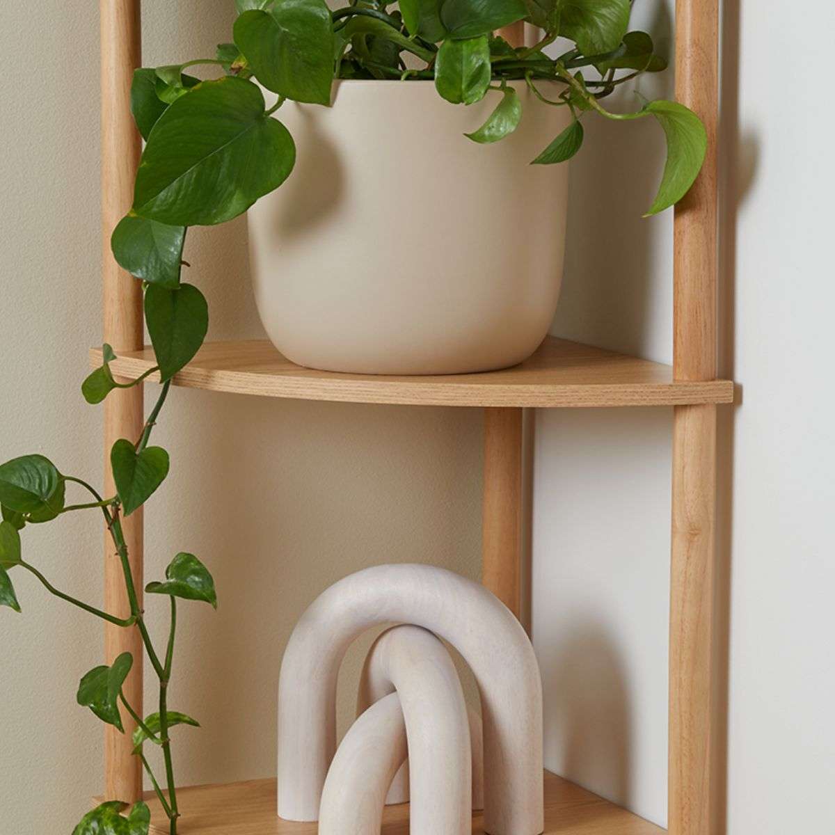 Eden Corner Shelf | Storage | Mocka NZ